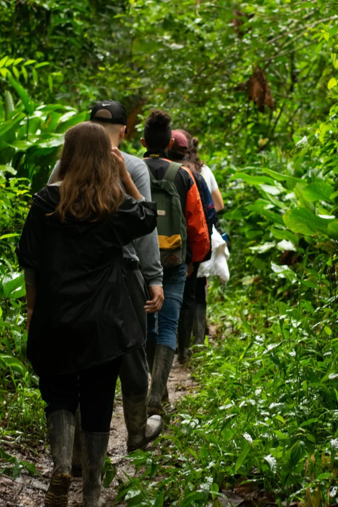 group of people walking in a wooded lush green path as part of therapy
