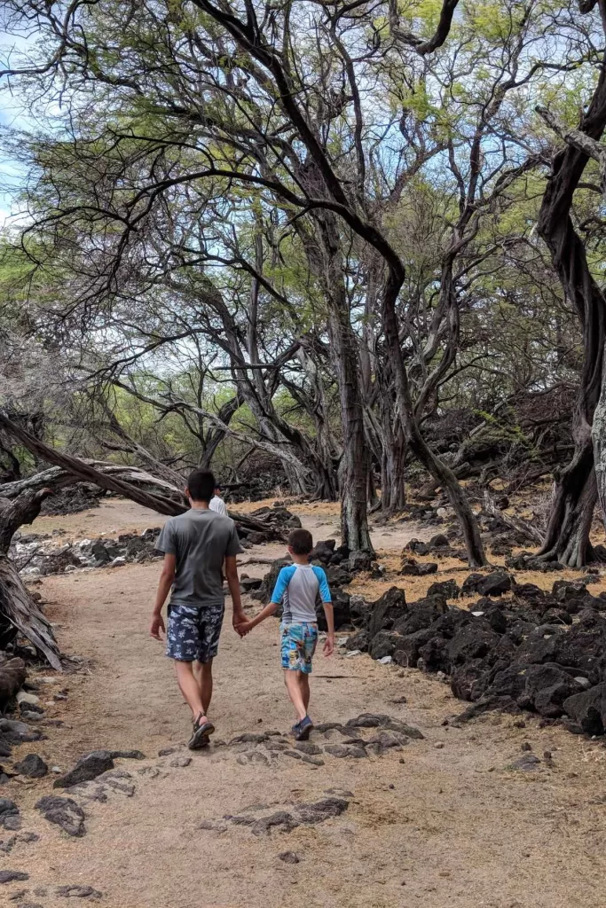 kid and teen holding hands in a dark wooded forest