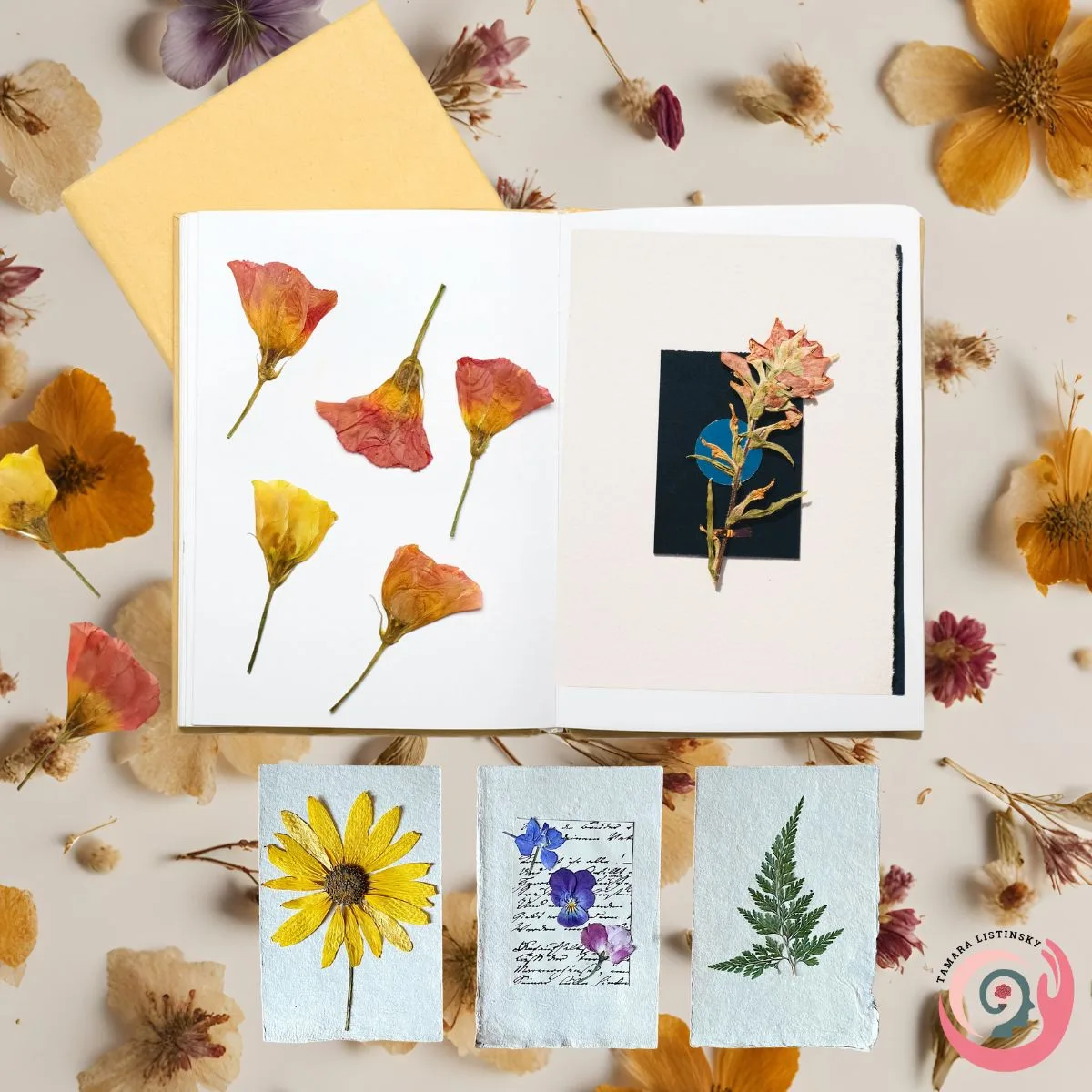 pressed flowers over cards and stock paper