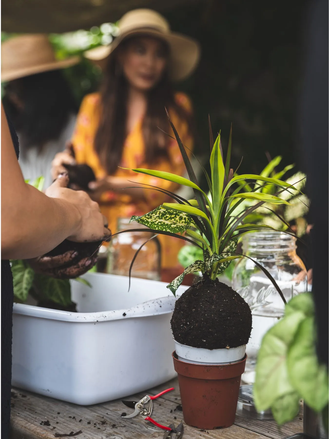 therapeutic workshop making a kokedama