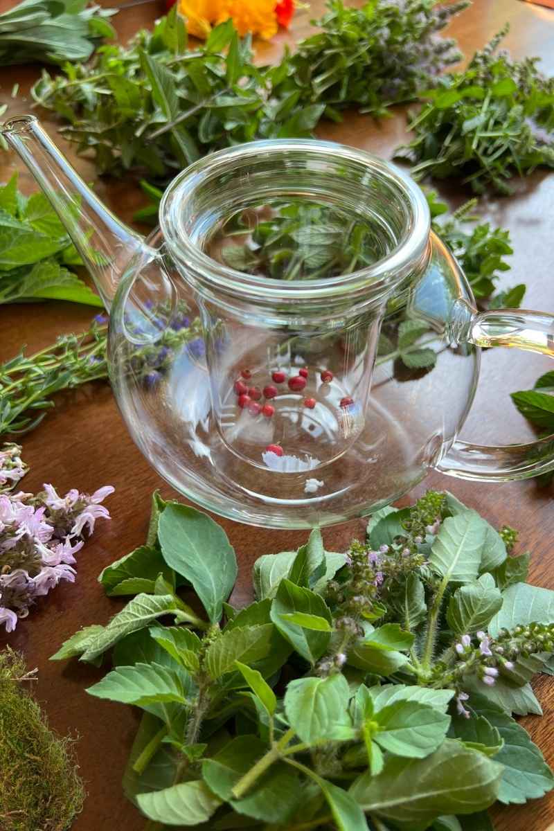 variety of plans and a teapot for making a therapeutic terrarium activity